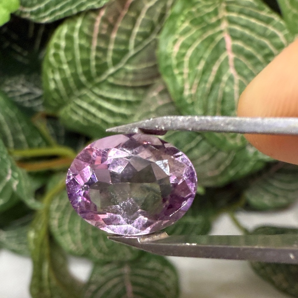 Amatrine Oval